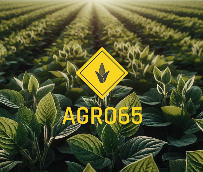 Plantação de Soja Agro65